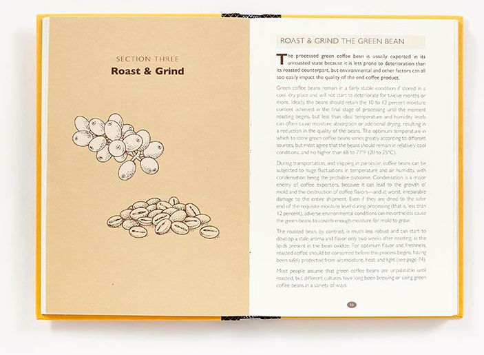 How to Make Coffee: The Science Behind the Bean