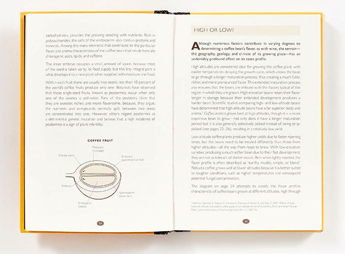 How to Make Coffee: The Science Behind the Bean