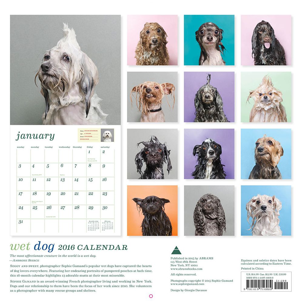 Wet Dog 2016 Wall Calendar