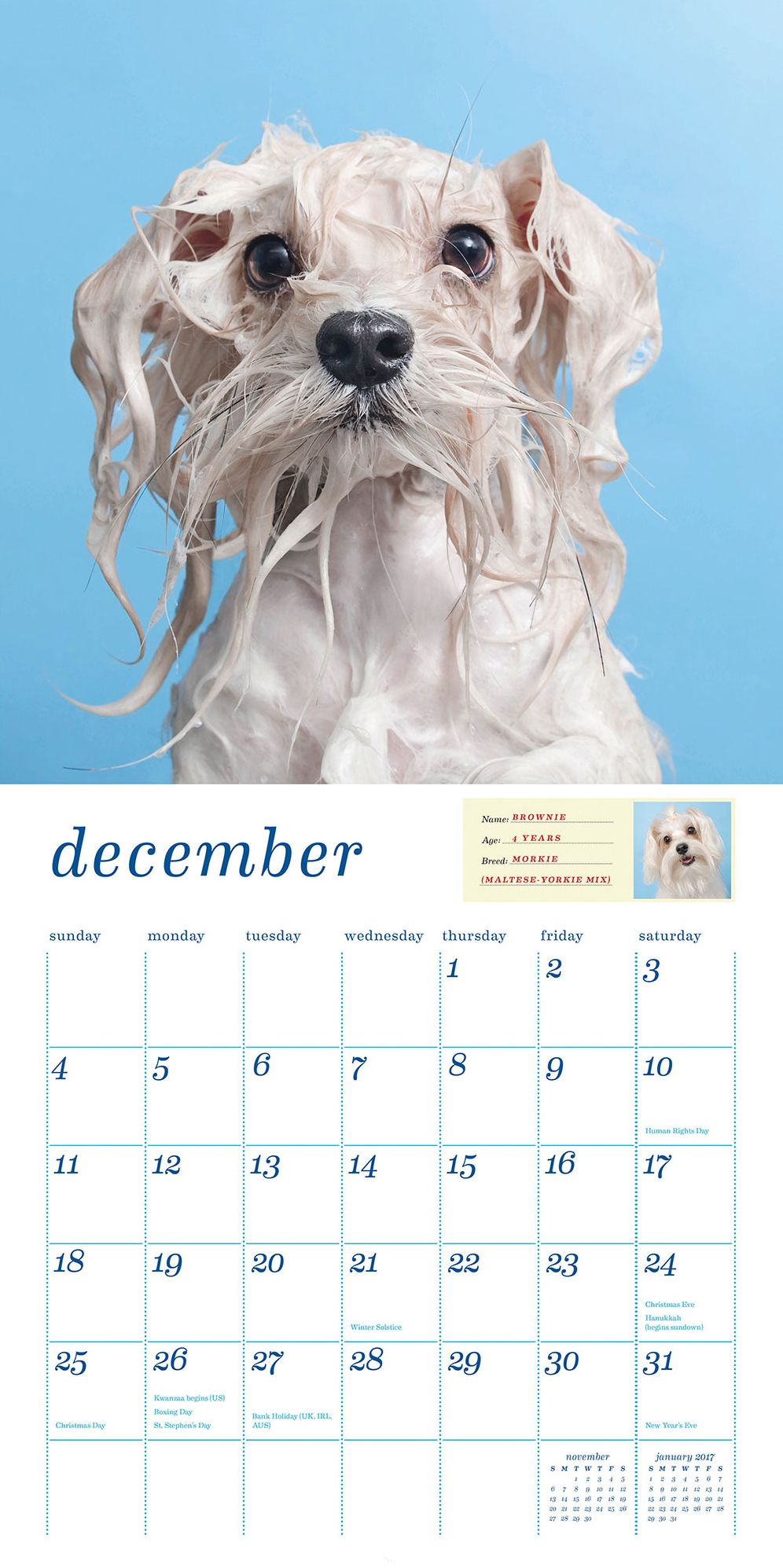 Wet Dog 2016 Wall Calendar