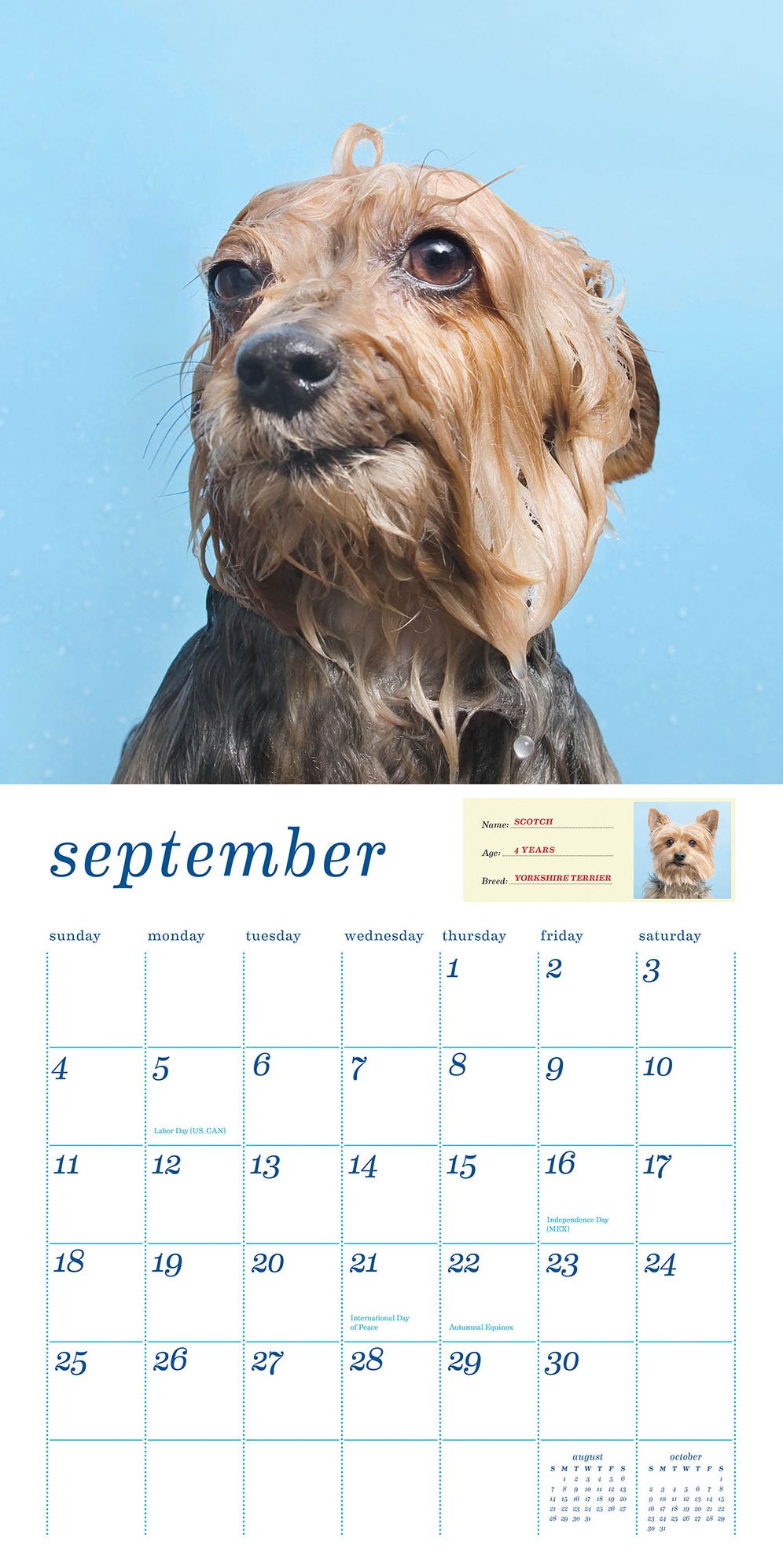 Wet Dog 2016 Wall Calendar
