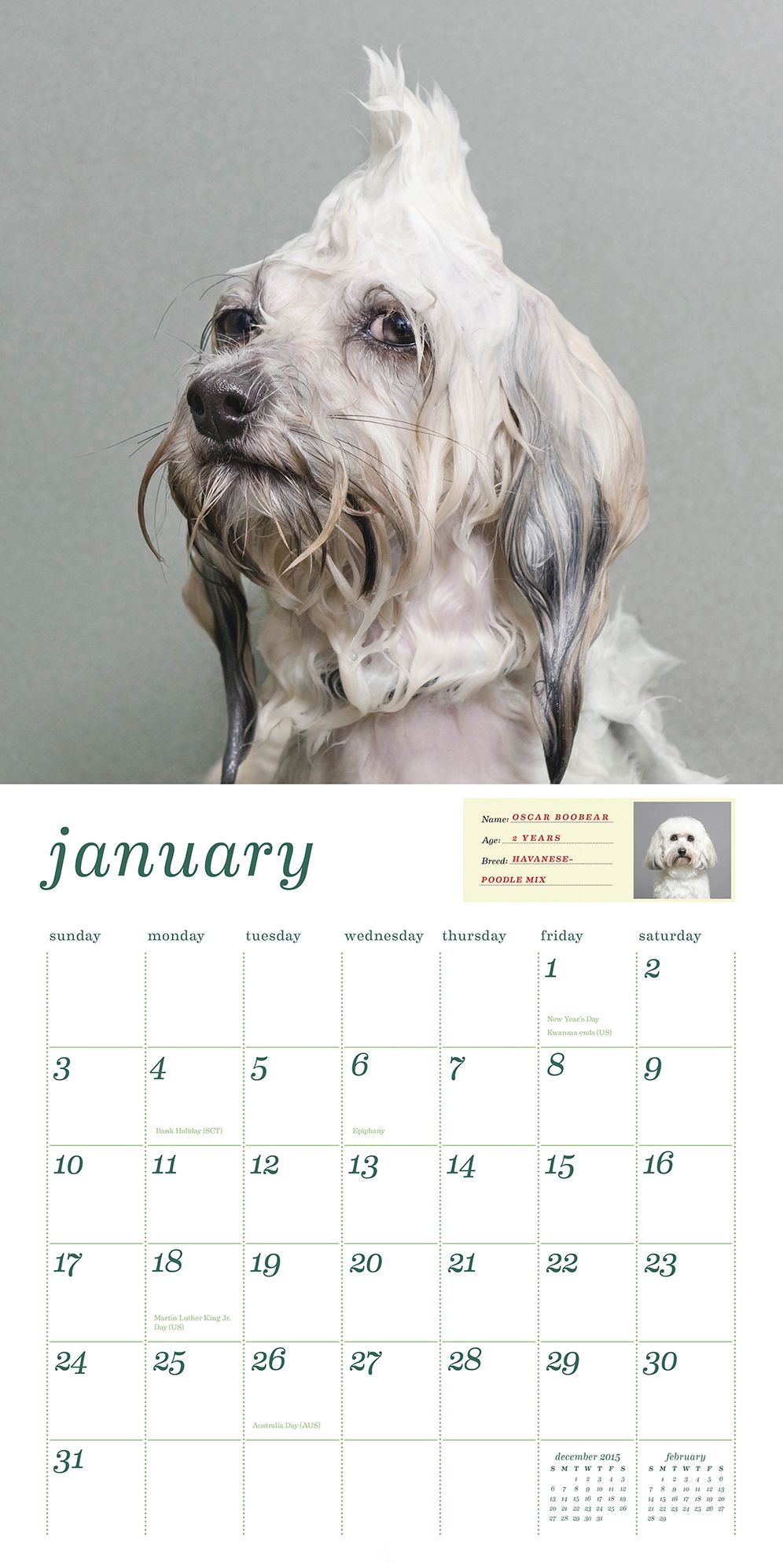 Wet Dog 2016 Wall Calendar