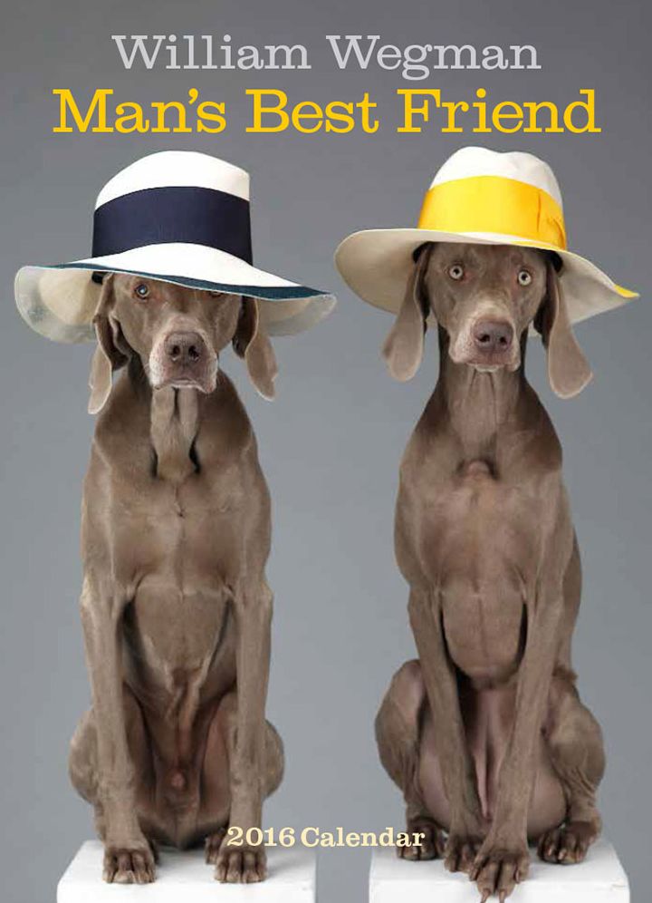 William Wegman Man's Best Friend 2016 Wall Calendar
