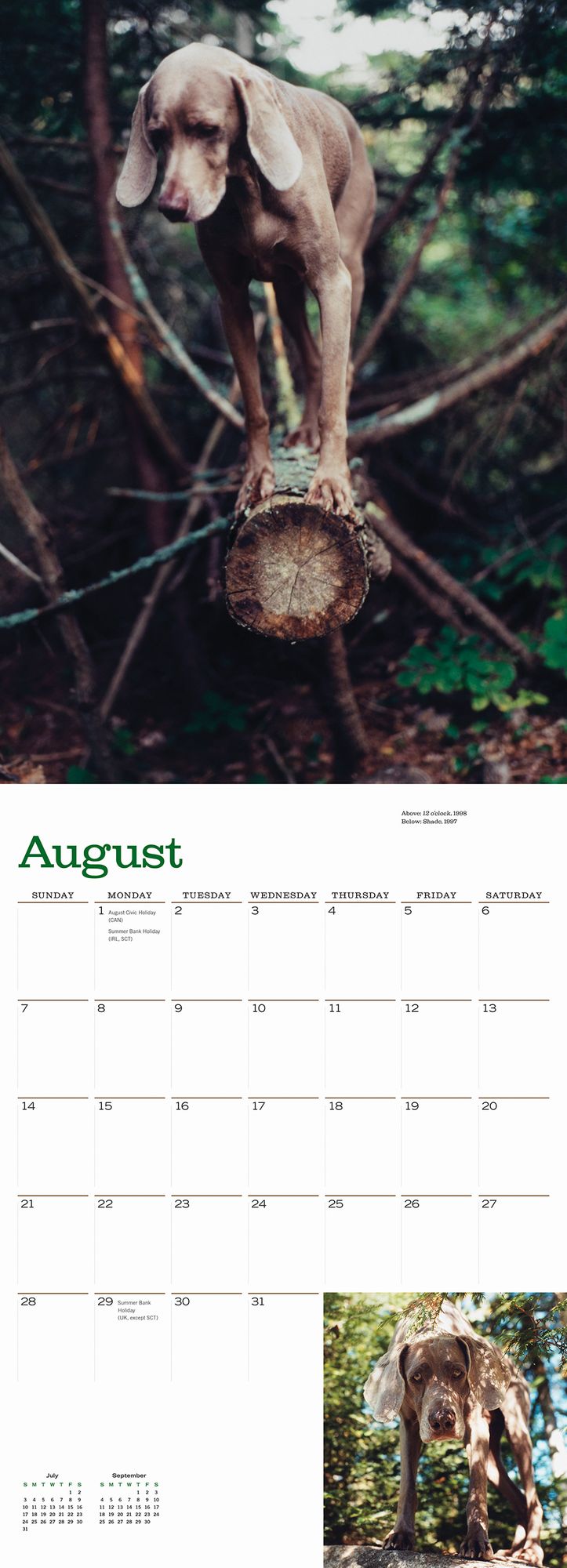 William Wegman Man's Best Friend 2016 Wall Calendar