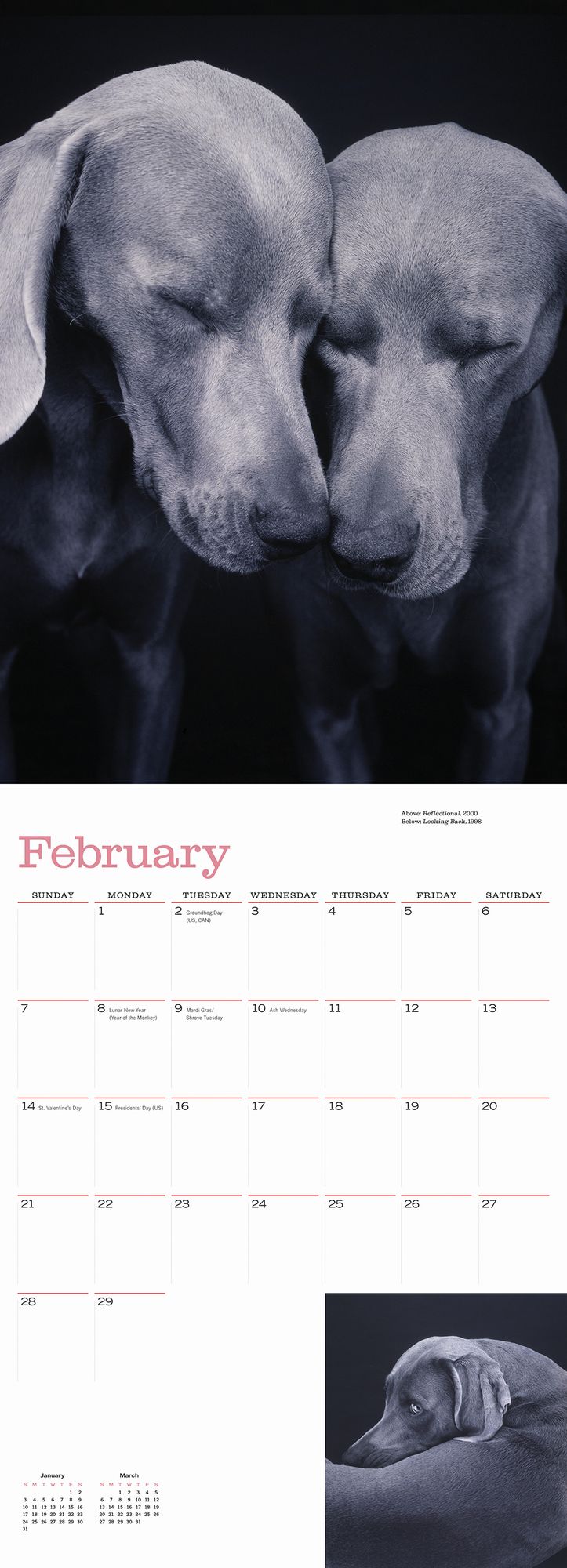 William Wegman Man's Best Friend 2016 Wall Calendar