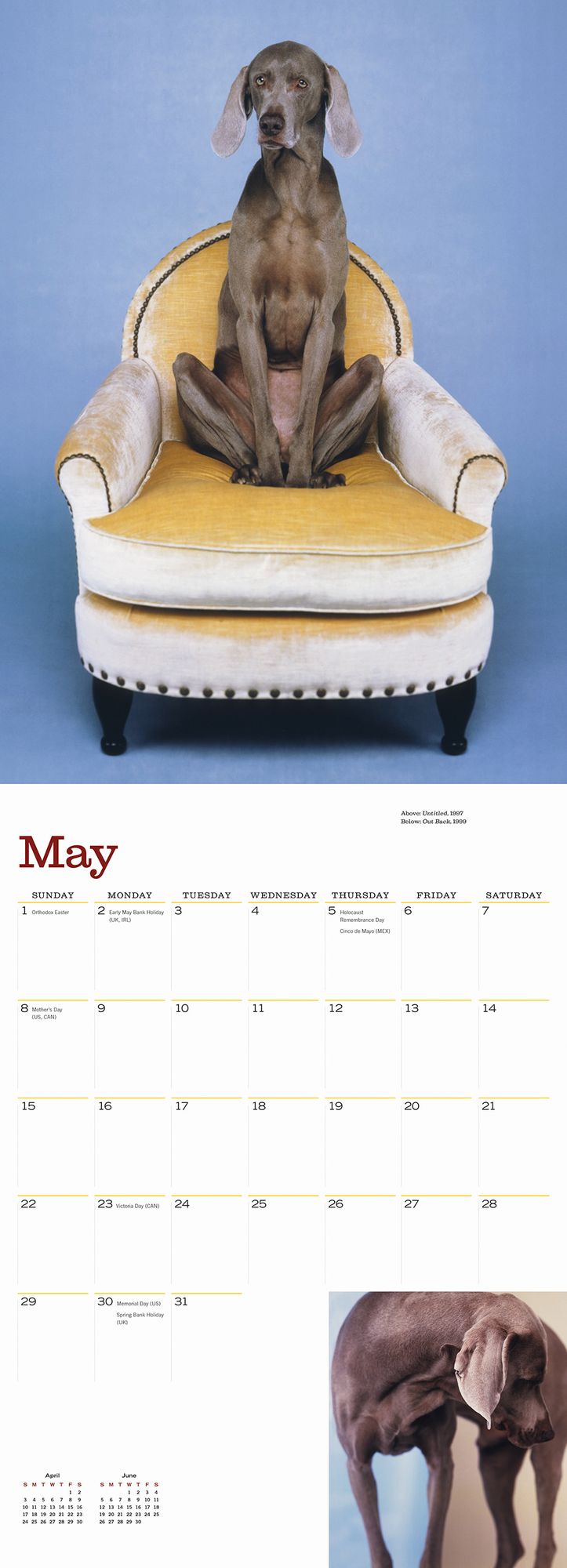 William Wegman Man's Best Friend 2016 Wall Calendar