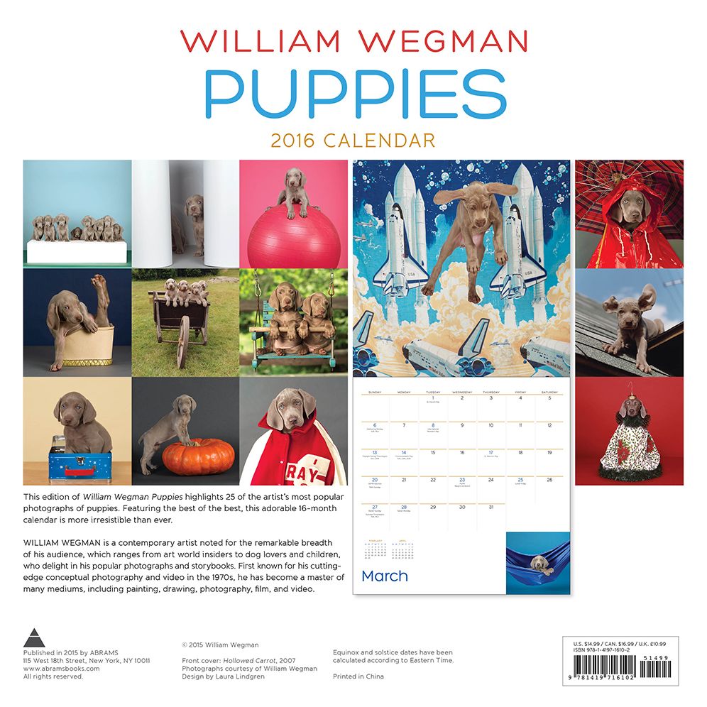William Wegman Puppies 2016 Wall Calendar