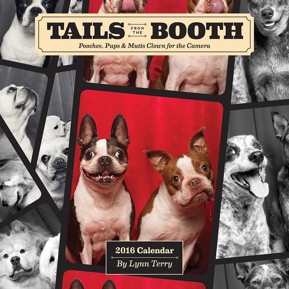 Tails from the Booth 2016 Wall Calendar: Pooches, Pups & Mutts Clown for the Camera