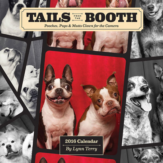 Tails from the Booth 2016 Wall Calendar: Pooches, Pups & Mutts Clown for the Camera