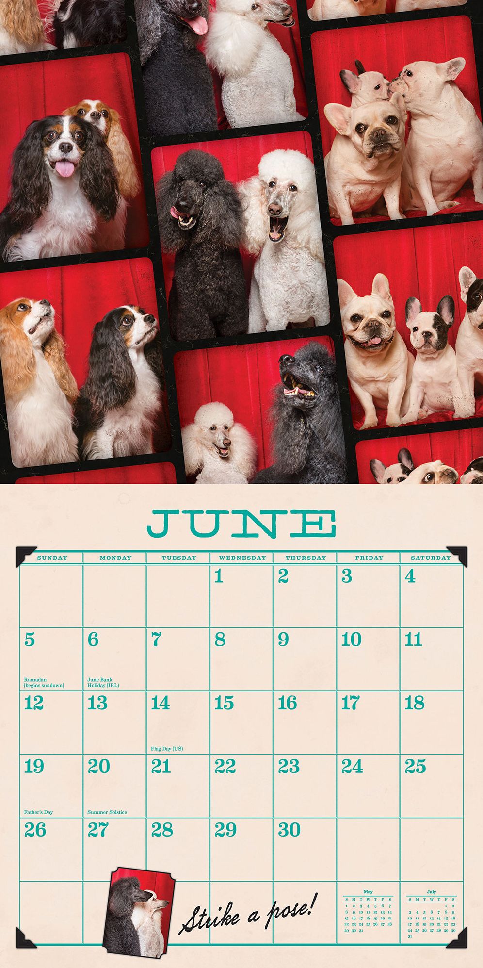 Tails from the Booth 2016 Wall Calendar: Pooches, Pups & Mutts Clown for the Camera