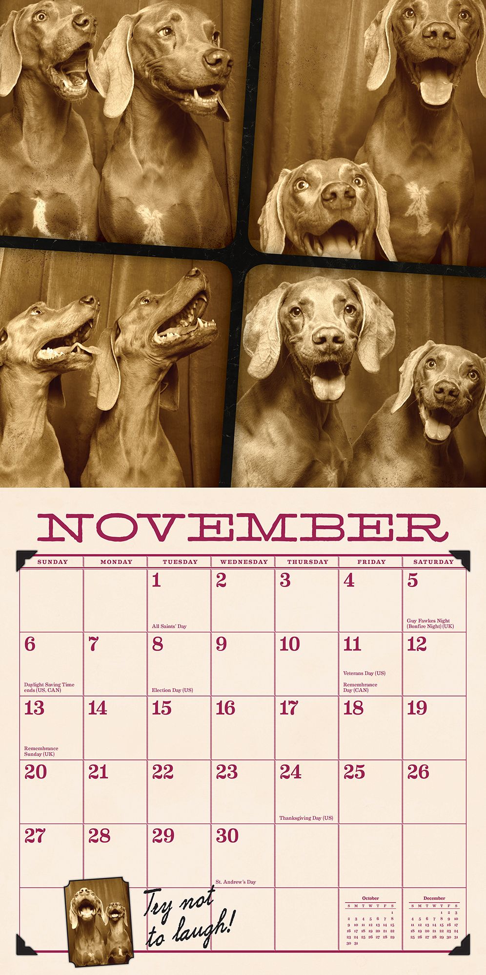 Tails from the Booth 2016 Wall Calendar: Pooches, Pups & Mutts Clown for the Camera