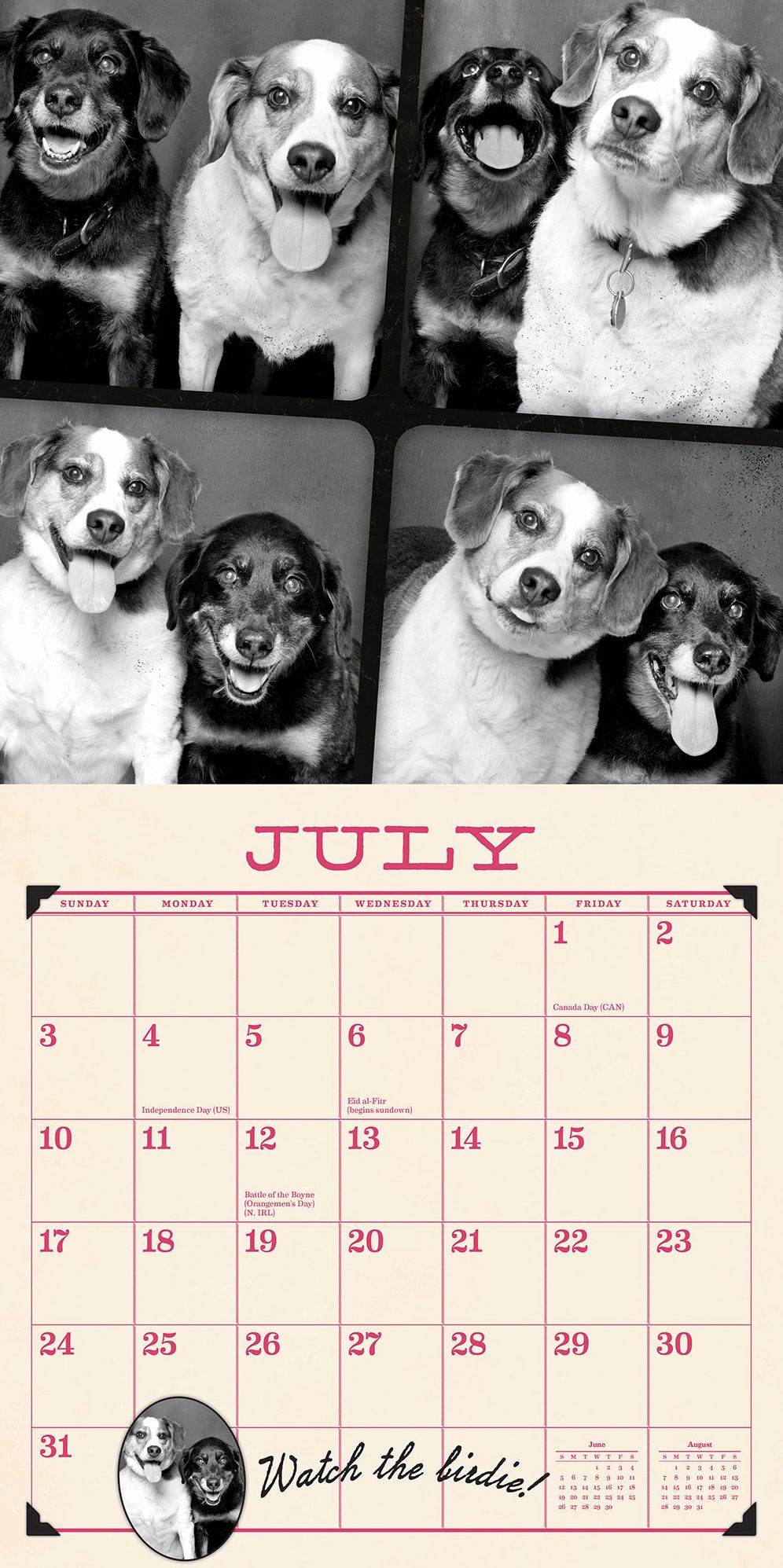 Tails from the Booth 2016 Wall Calendar: Pooches, Pups & Mutts Clown for the Camera