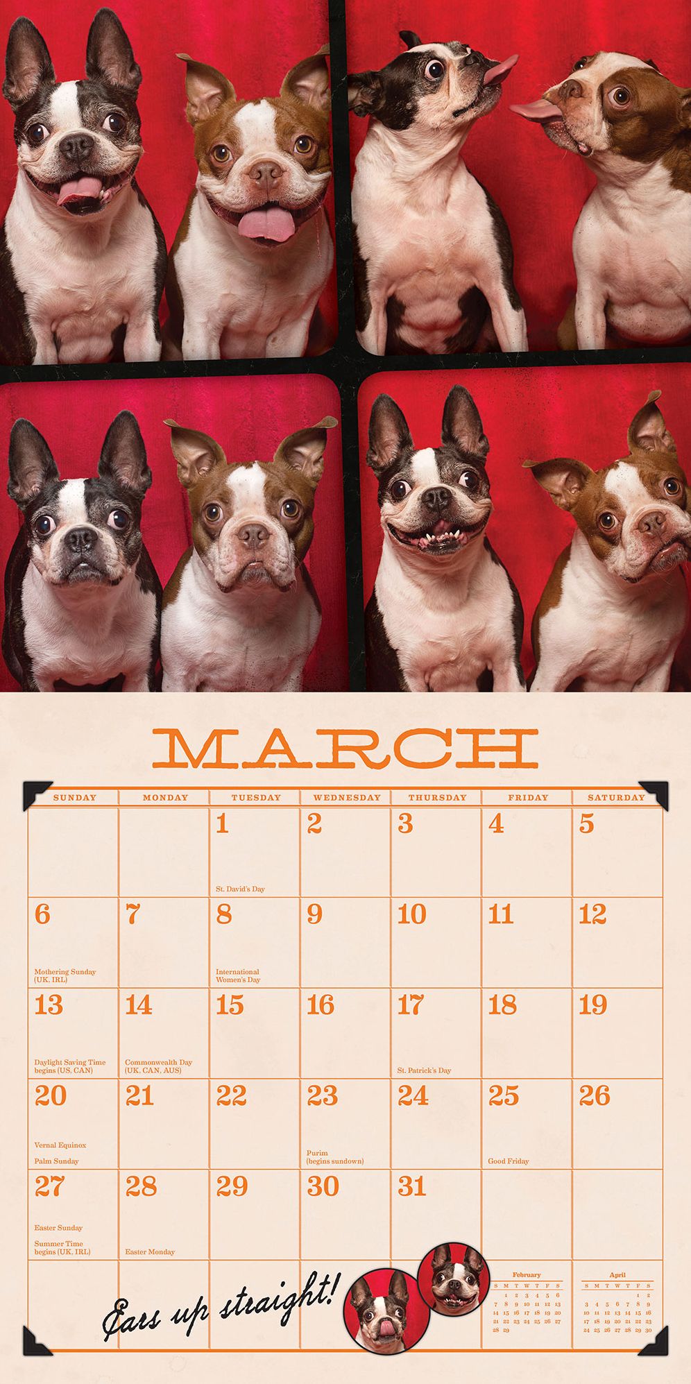 Tails from the Booth 2016 Wall Calendar: Pooches, Pups & Mutts Clown for the Camera