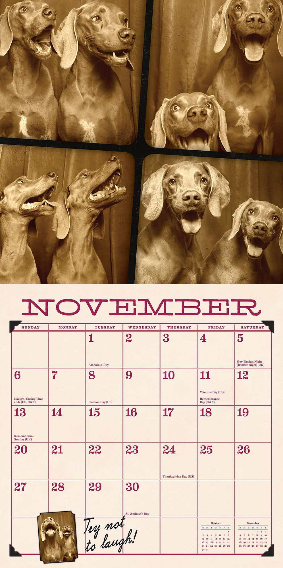 Tails from the Booth 2016 Wall Calendar: Pooches, Pups & Mutts Clown for the Camera