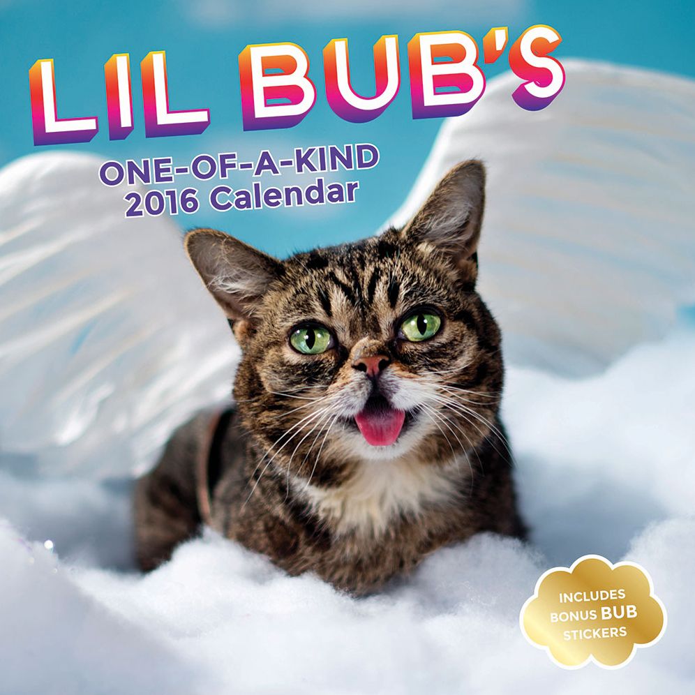 Lil Bub 2016 Wall Calendar