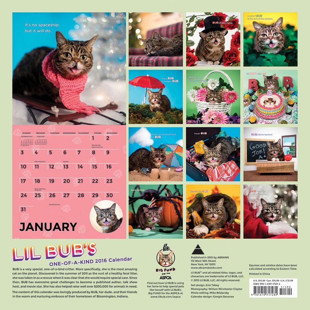 Lil Bub 2016 Wall Calendar