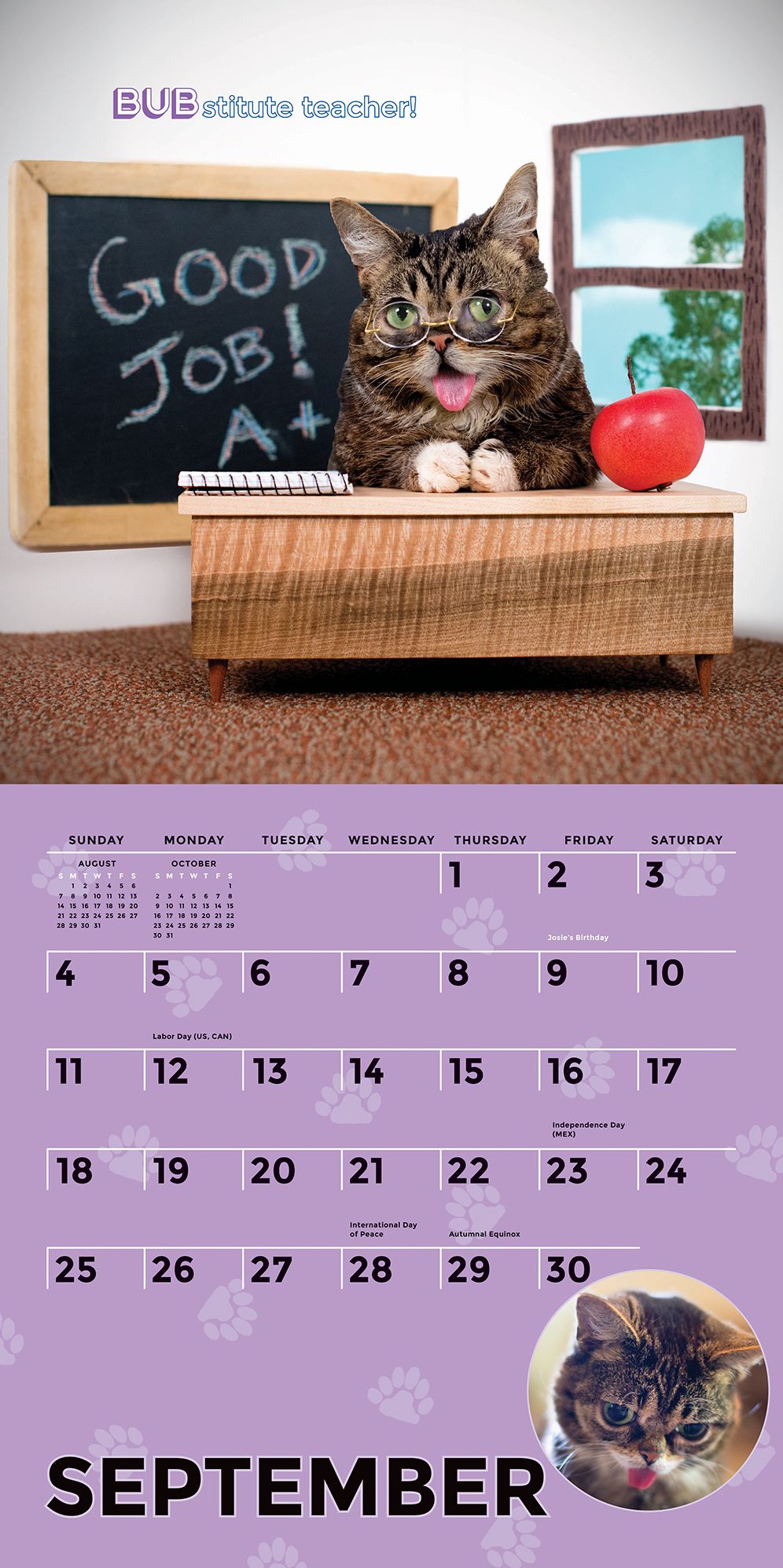 Lil Bub 2016 Wall Calendar