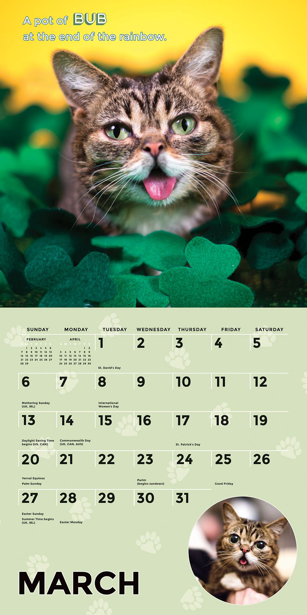 Lil Bub 2016 Wall Calendar
