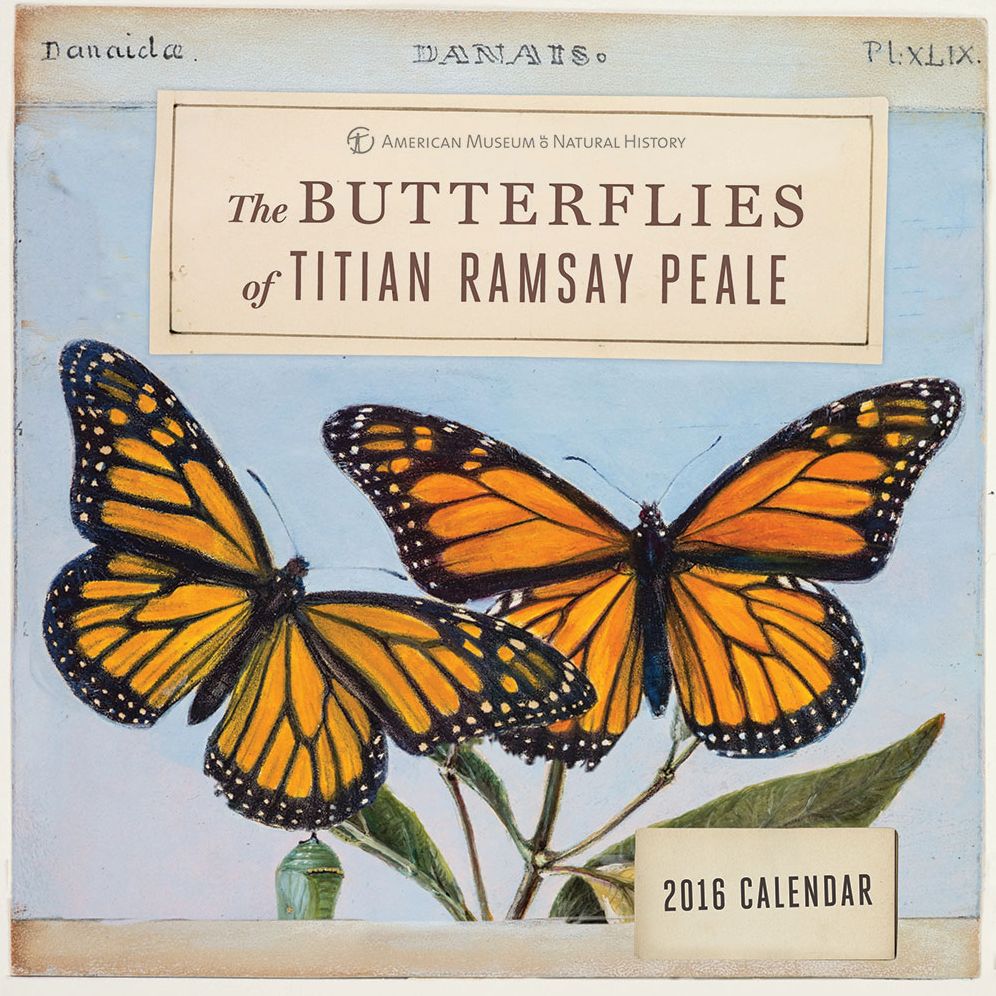 The Butterflies of Titian Ramsay Peale 2016 Wall Calendar