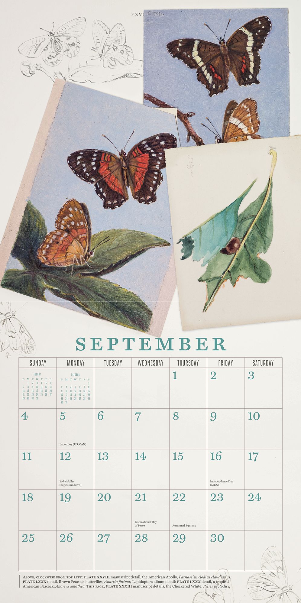 The Butterflies of Titian Ramsay Peale 2016 Wall Calendar