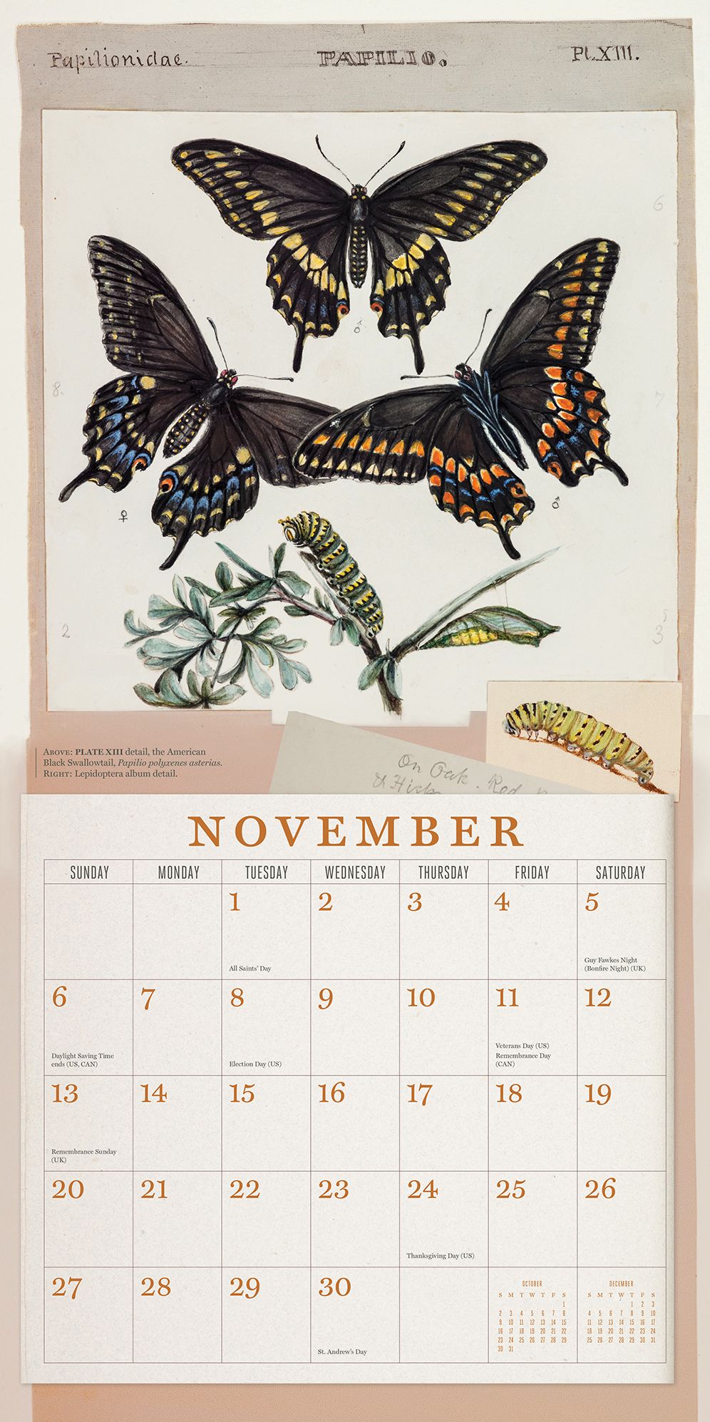 The Butterflies of Titian Ramsay Peale 2016 Wall Calendar