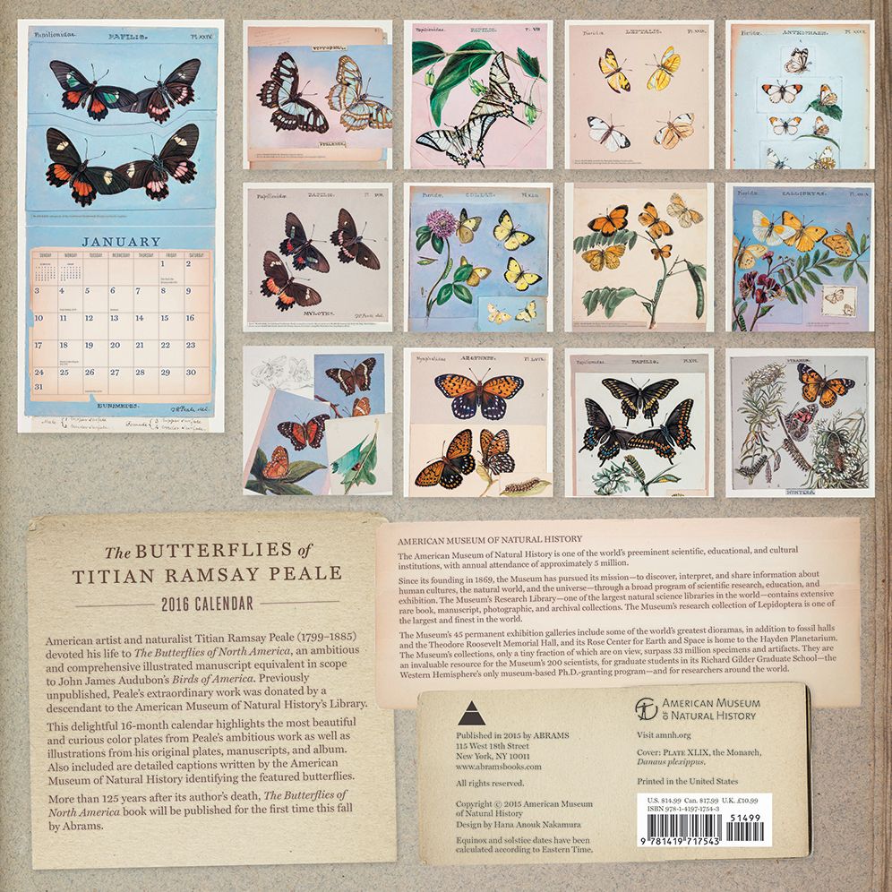 The Butterflies of Titian Ramsay Peale 2016 Wall Calendar