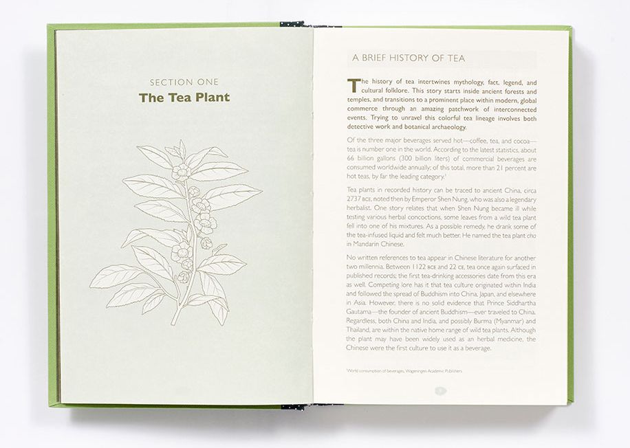 How to Make Tea