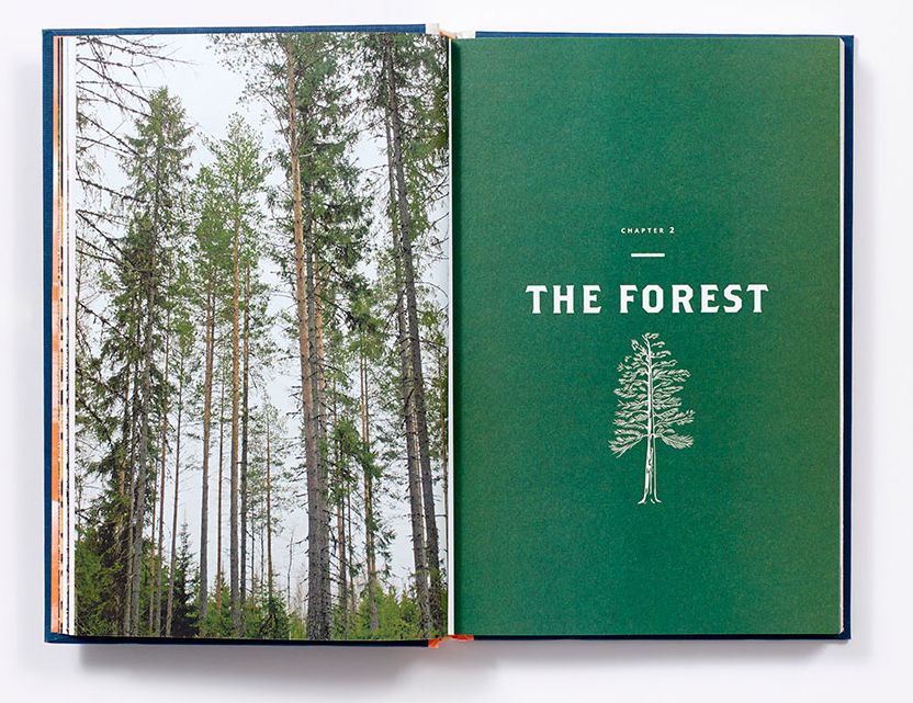 Norwegian Wood: Chopping, Stacking, and Drying Wood the Scandinavian Way