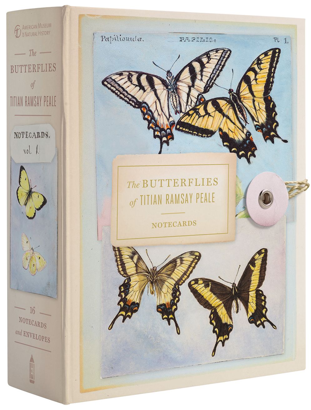The Butterflies of Titian Ramsay Peale Notecards
