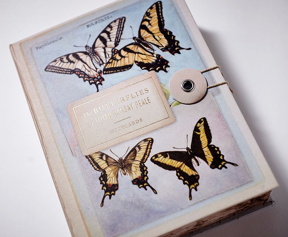 The Butterflies of Titian Ramsay Peale Notecards