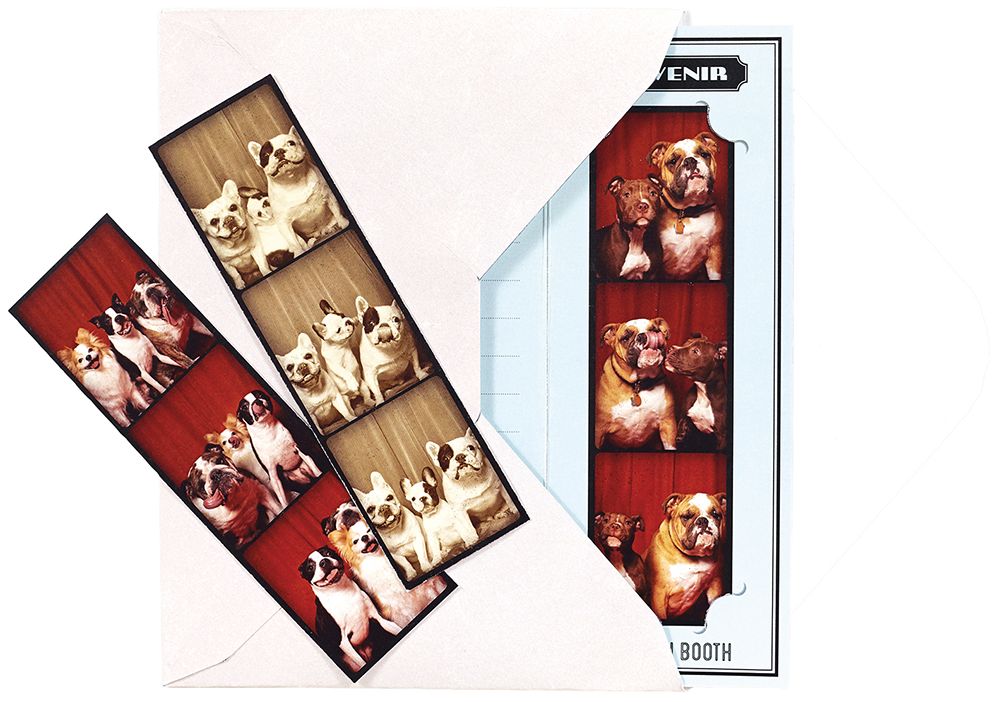 Tails from the Booth Notecards