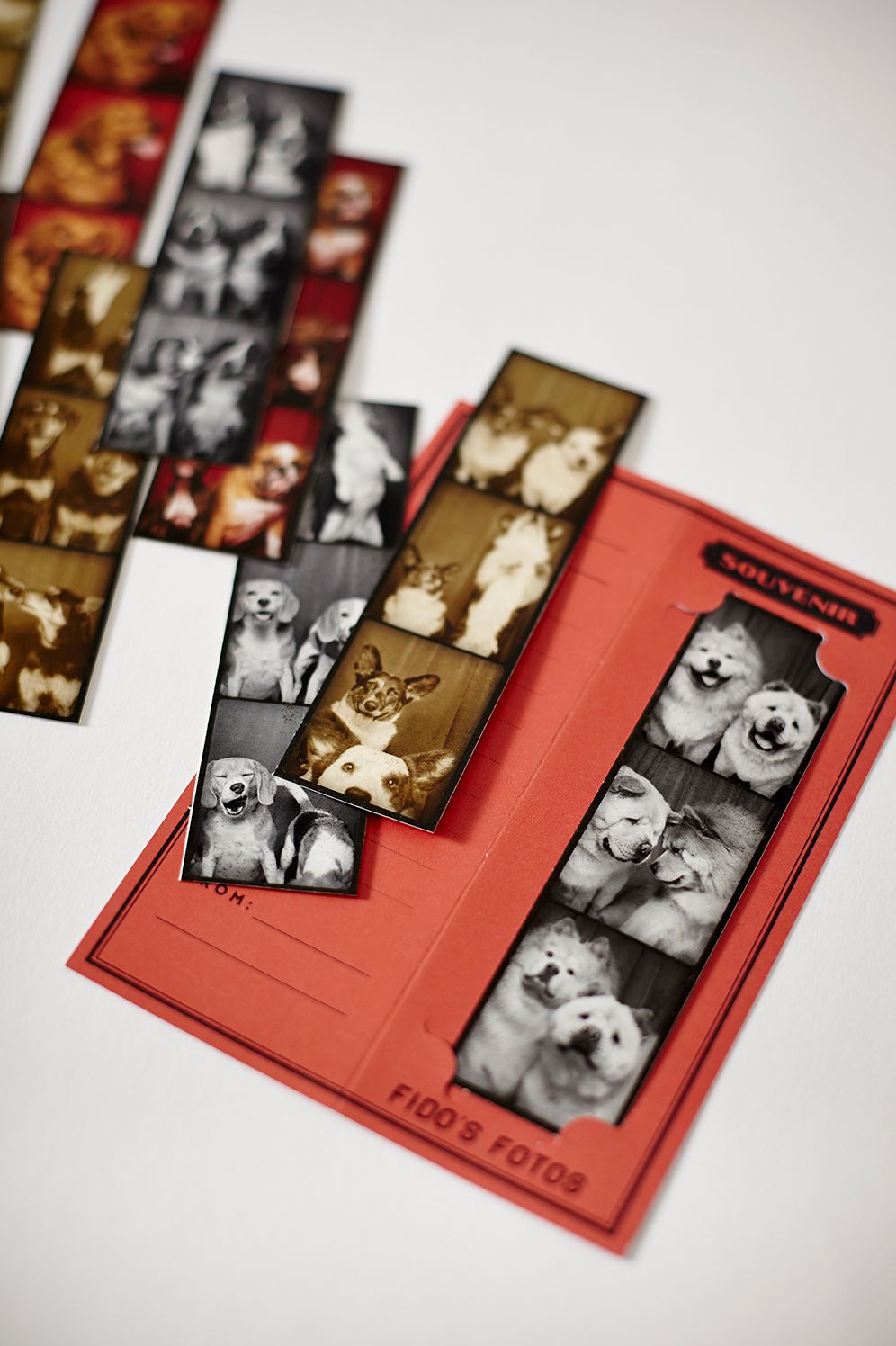 Tails from the Booth Notecards