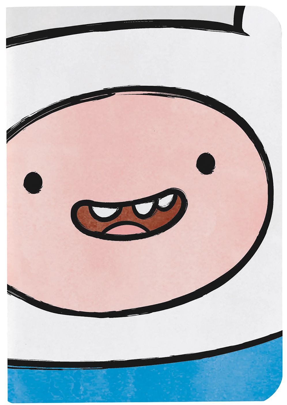 Adventure Time Notebooks: Gender Swap (Set of 3)