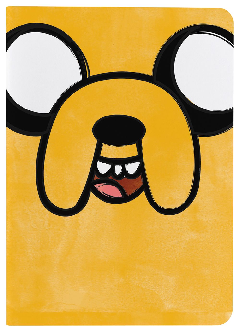 Adventure Time Notebooks: Gender Swap (Set of 3)