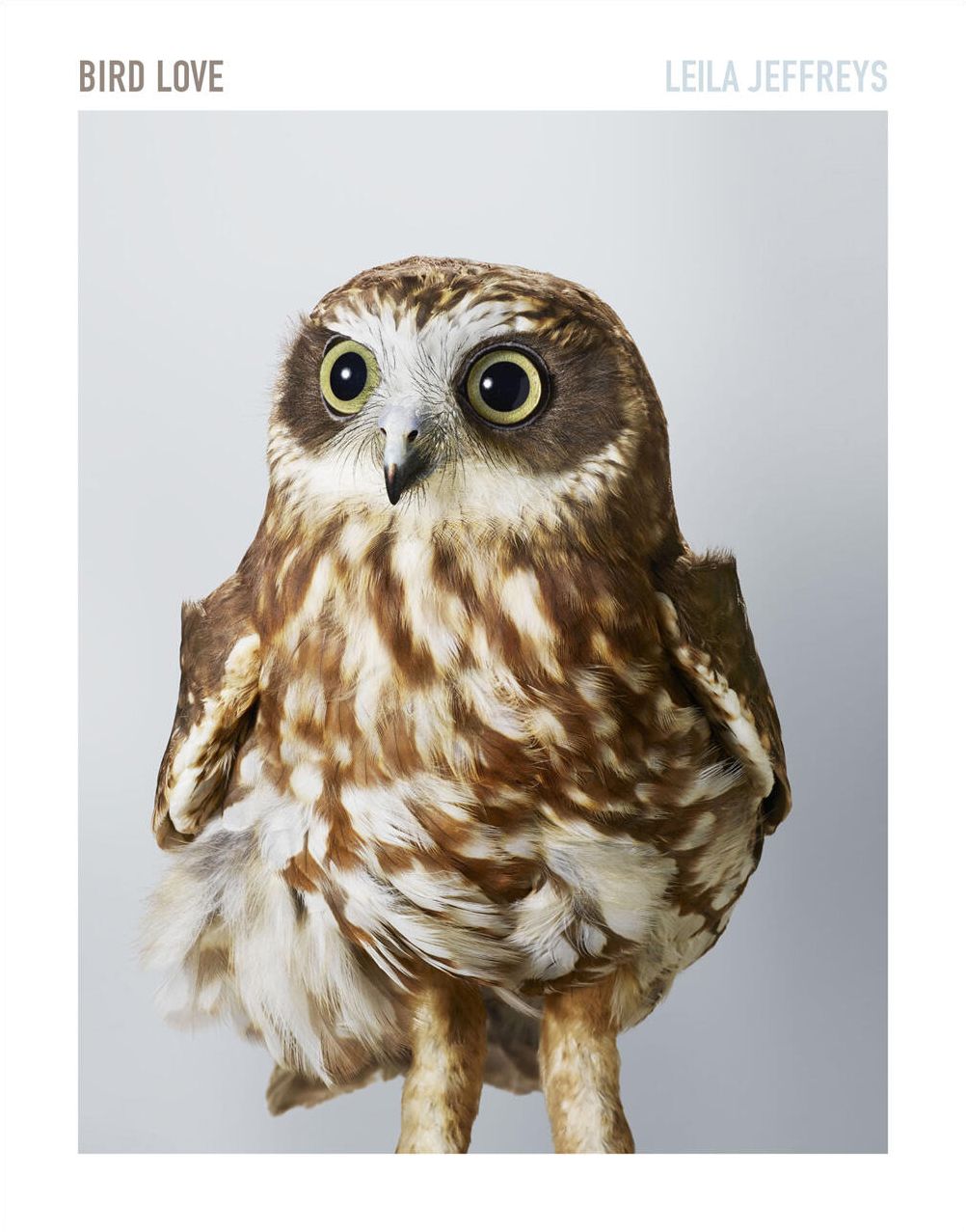 Bird Love: A Photography Book