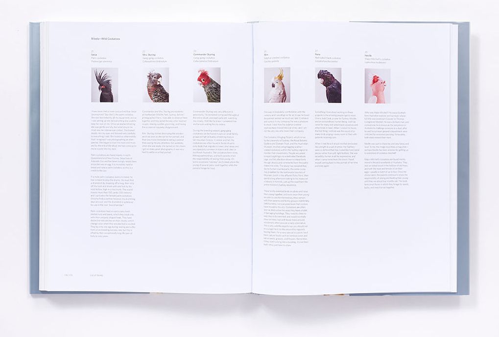Bird Love: A Photography Book