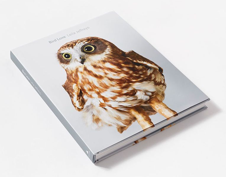 Bird Love: A Photography Book