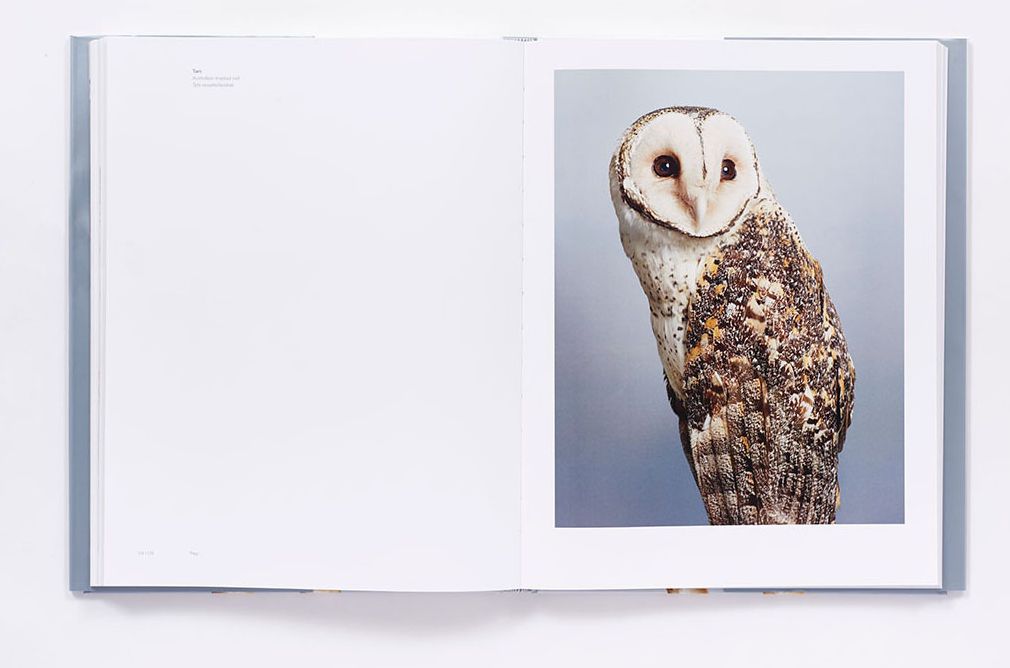 Bird Love: A Photography Book