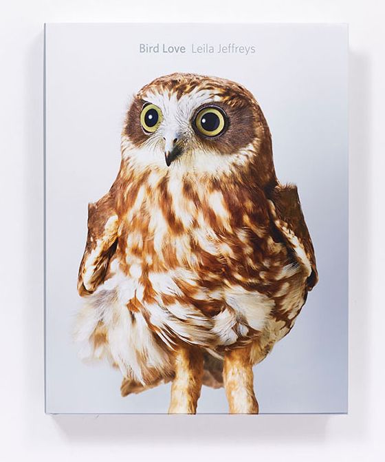 Bird Love: A Photography Book