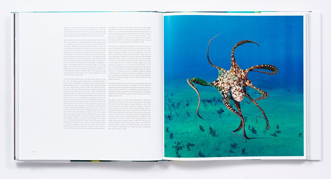 The Life and Love of the Sea