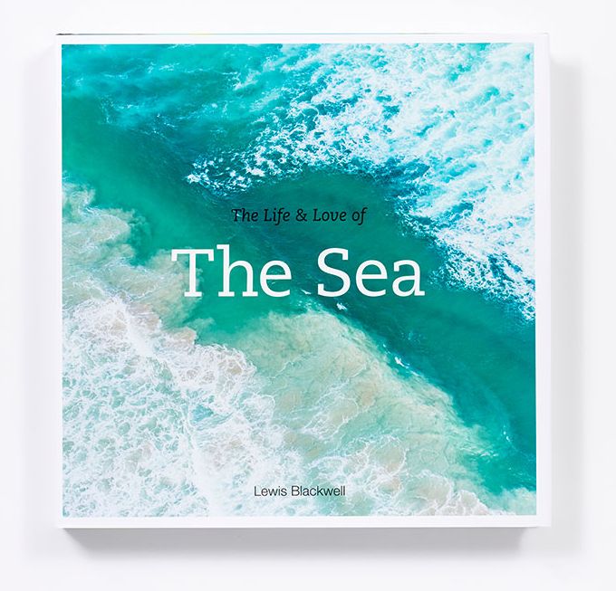 The Life and Love of the Sea