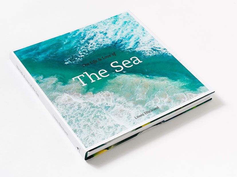 The Life and Love of the Sea