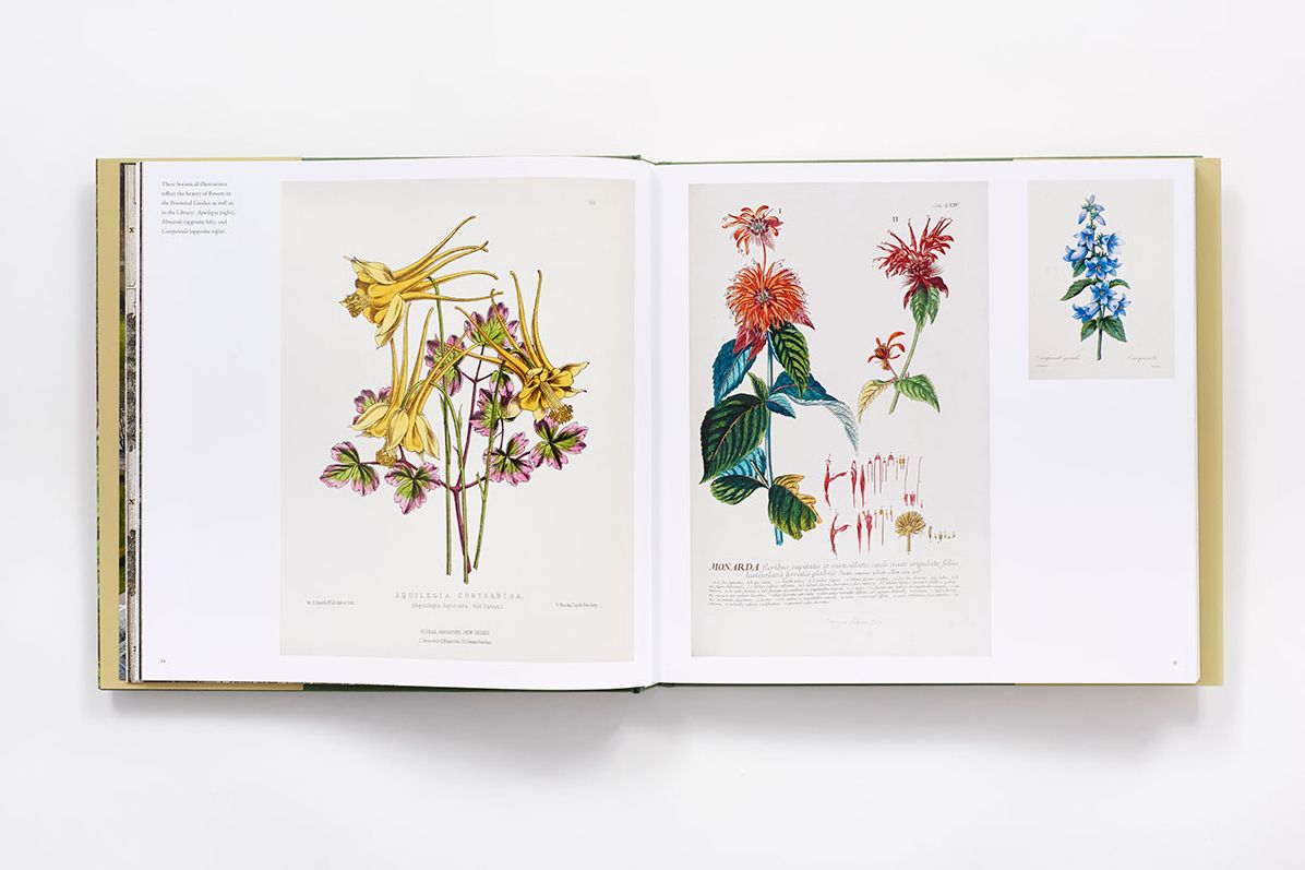 The New York Botanical Garden: Revised and Updated Edition