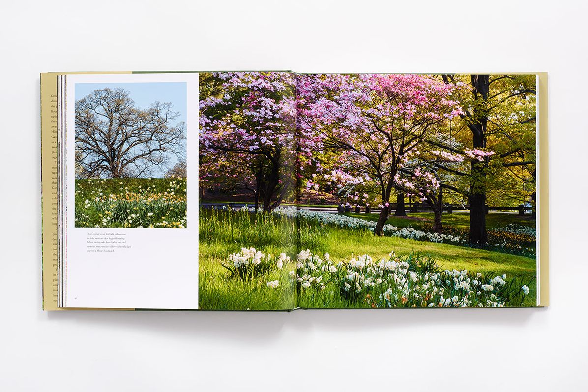 The New York Botanical Garden: Revised and Updated Edition