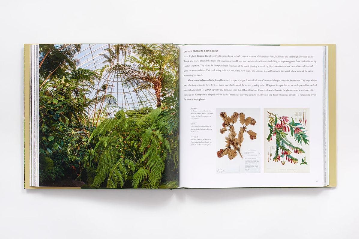 The New York Botanical Garden: Revised and Updated Edition
