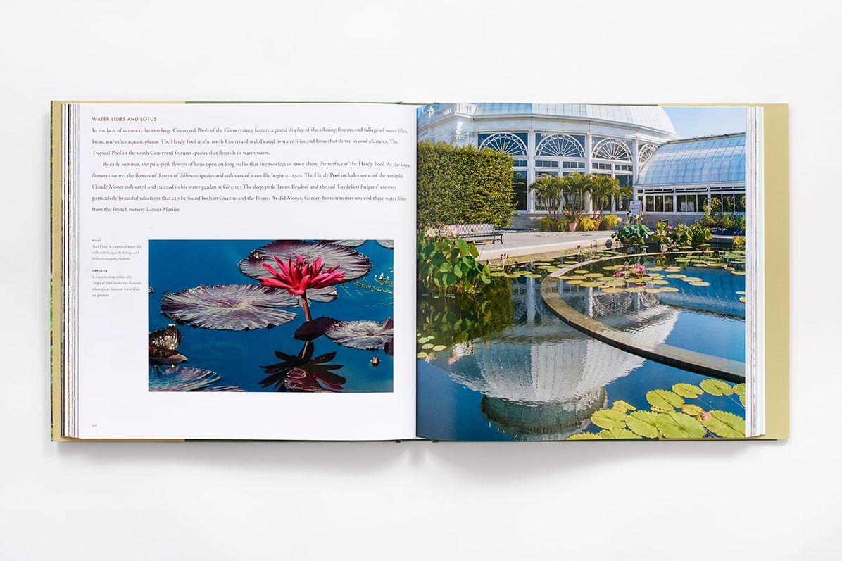 The New York Botanical Garden: Revised and Updated Edition