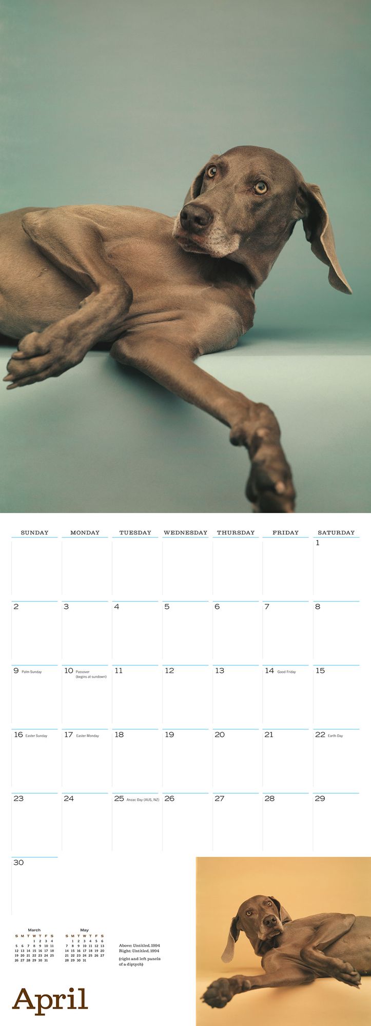 William Wegman Man's Best Friend 2017 Wall Calendar