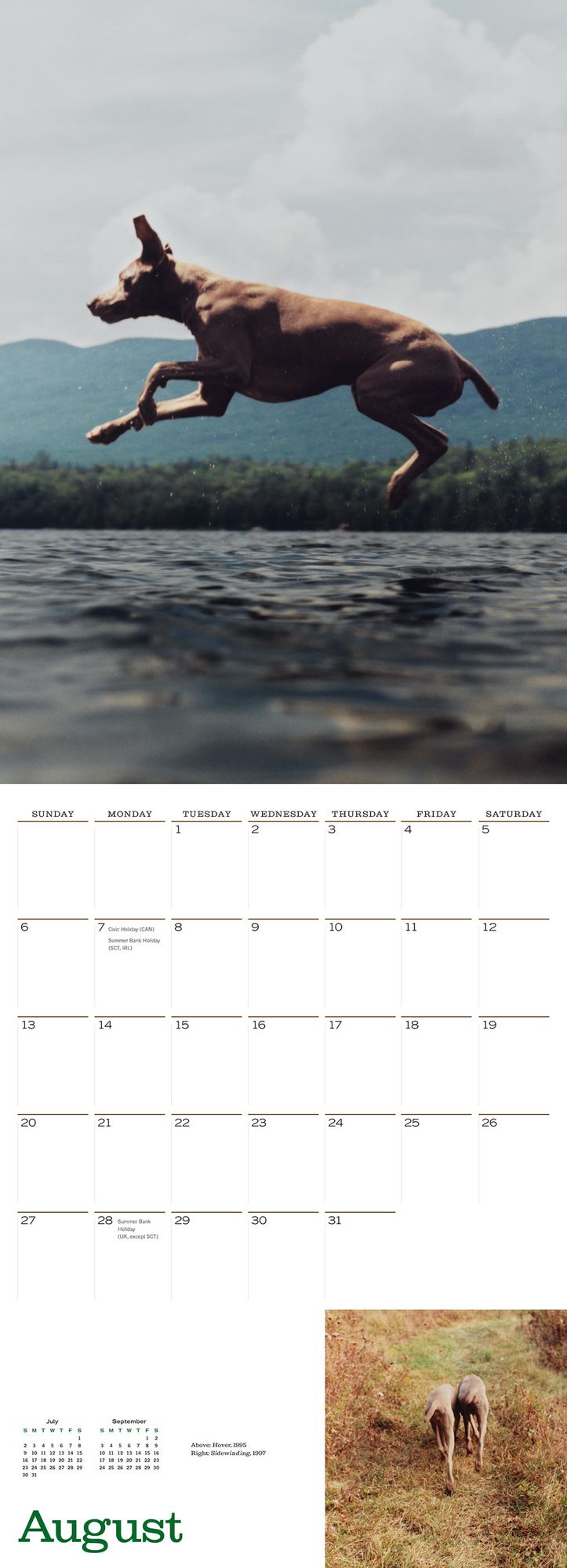 William Wegman Man's Best Friend 2017 Wall Calendar
