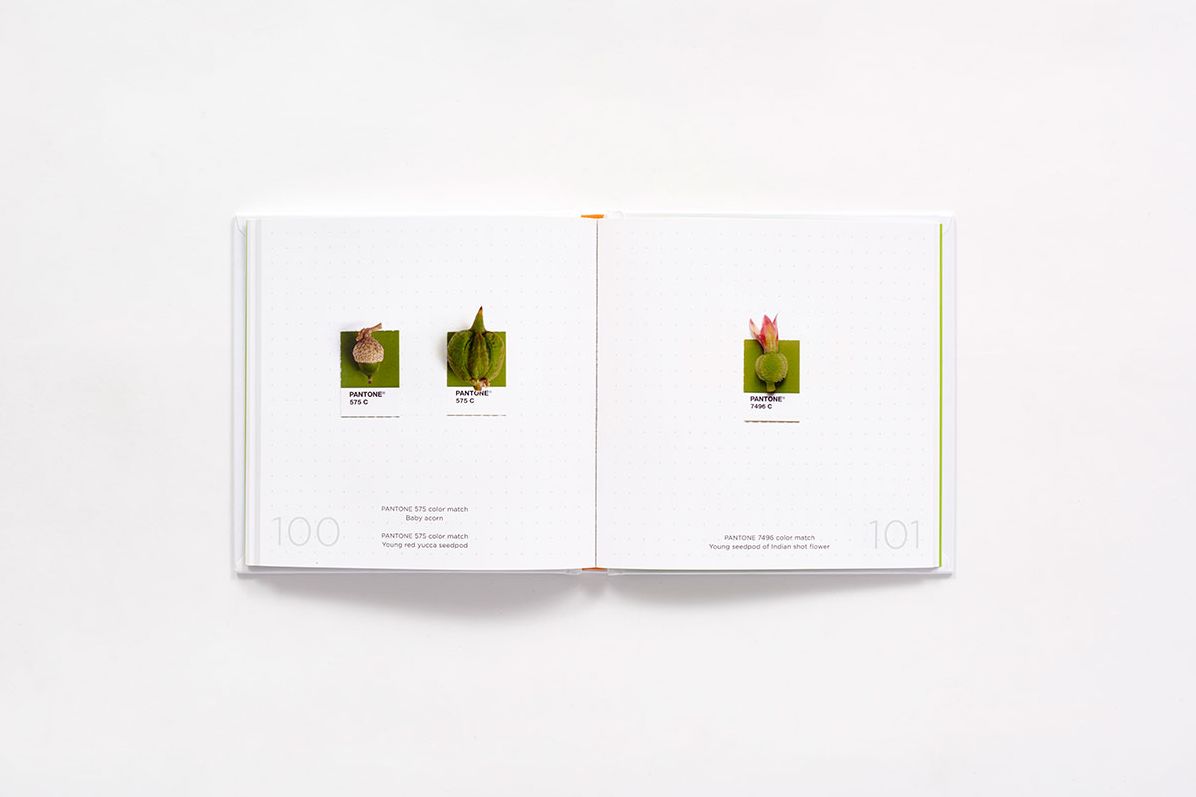 Tiny PANTONE Objects