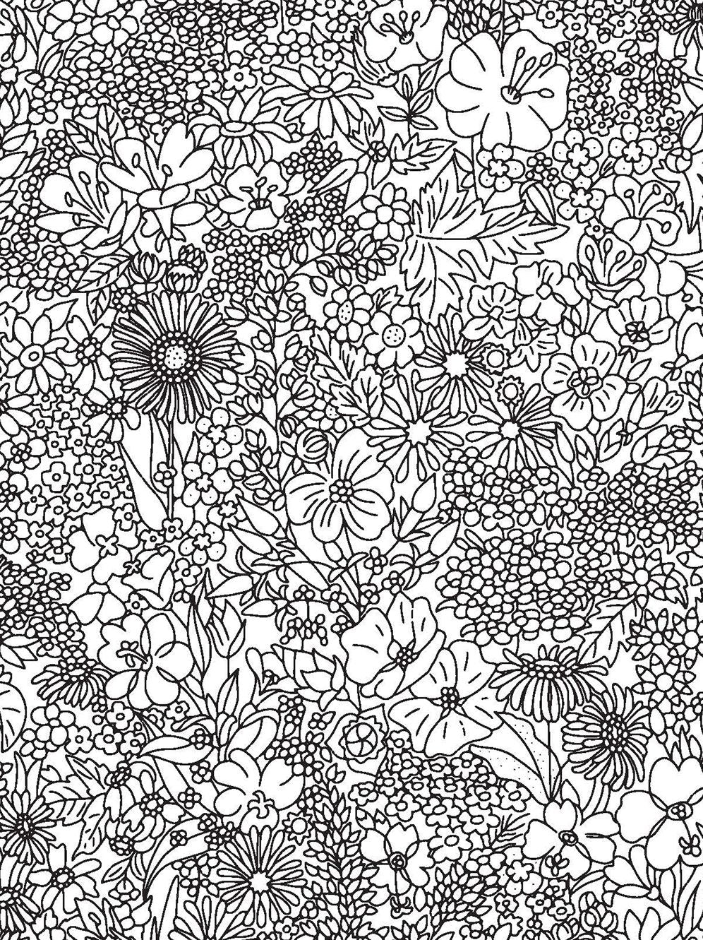 The Liberty Coloring Book (Adult Coloring Book)